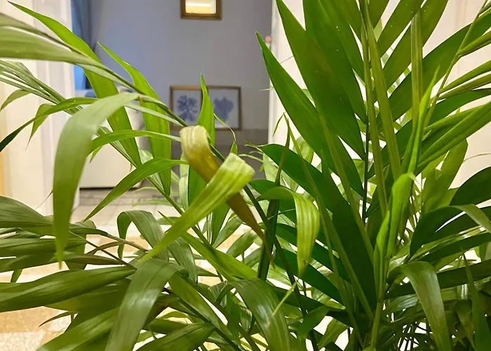 Apartment Le Vomero *